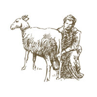 pecora Calabrialleva Formaggi tipici calabresi illustrazione di pastore che munge una pecora